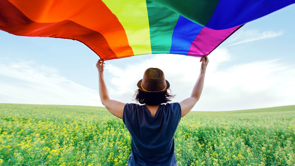 A person standing in a field of yellow flowers holds a large rainbow flag above their head to celebrate pride month.